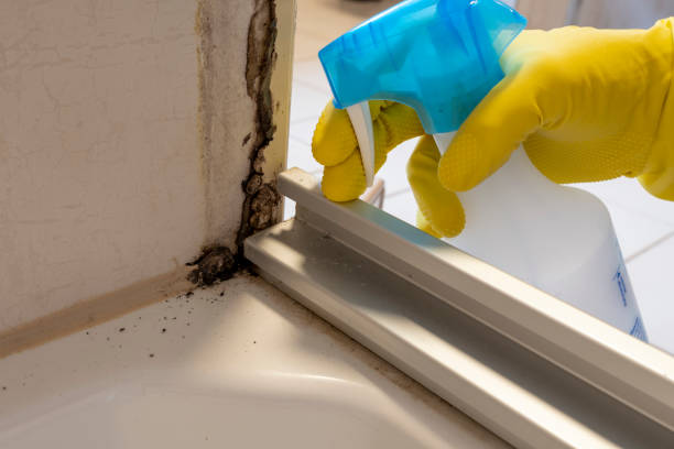 Best Residential Mold Removal  in Svis, IL